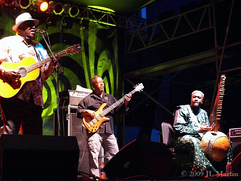 021Luminato_ Taj Mahal_Mamadou Diabate.JPG